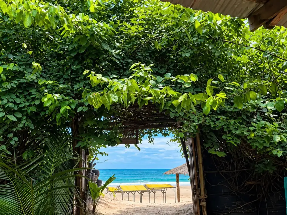 Arco de folhagem abrindo para a praia, no Lua de Sal