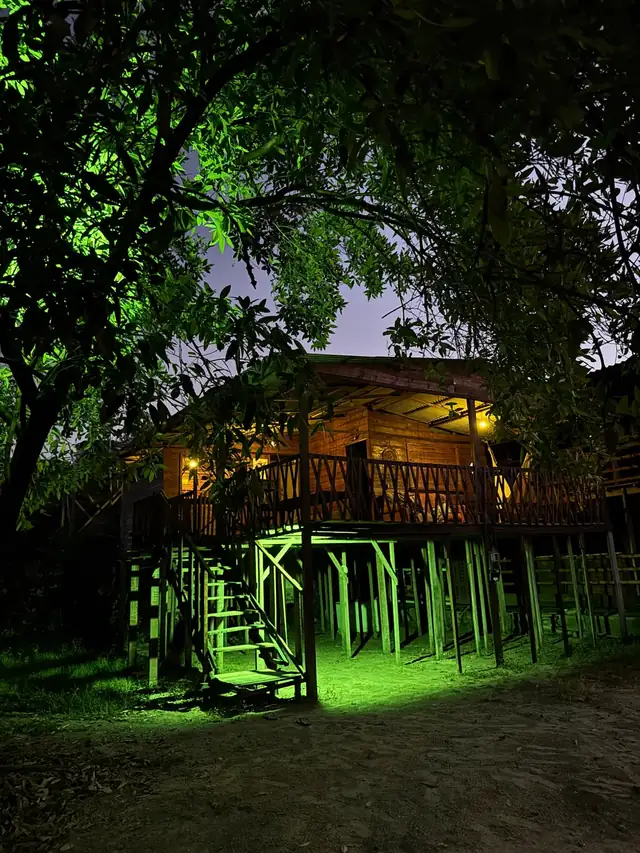 Maresia à noite, com as luzes acesas entre as árvores